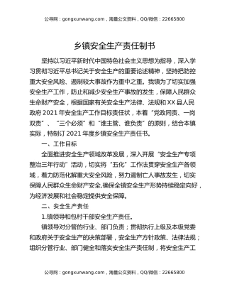 乡镇安全生产责任制书