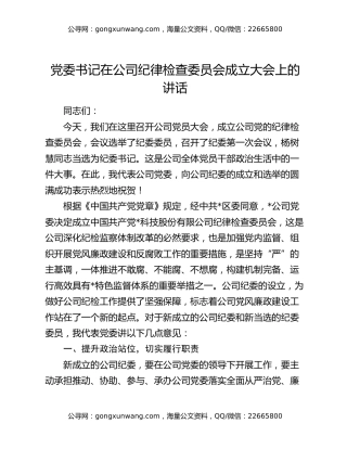 党委书记在公司纪律检查委员会成立大会上的讲话