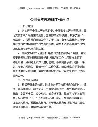 公司党支部党建工作要点