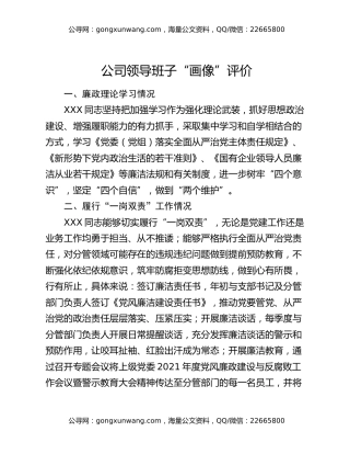 公司领导班子“画像”评价