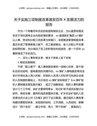 关于实施三项制度改革激发百年X发展活力的报告