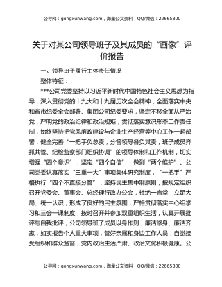 关于对某公司领导班子及其成员的“画像”评价报告