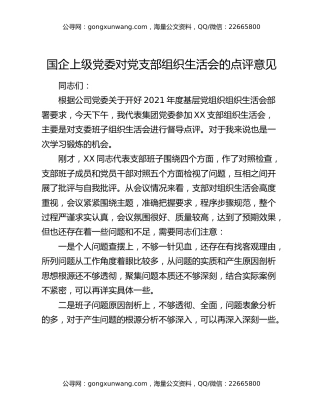 国企上级党委对党支部组织生活会的点评意见