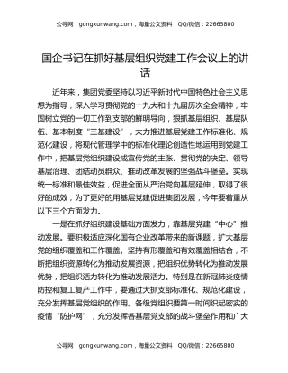 国企书记在抓好基层组织党建工作会议上的讲话