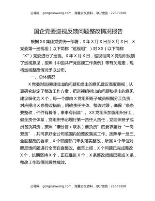 国企党委巡视反馈问题整改情况报告