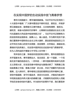 在实现中国梦的生动实践中放飞青春梦想