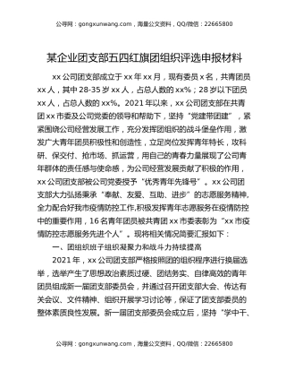 某企业团支部五四红旗团组织评选申报材料