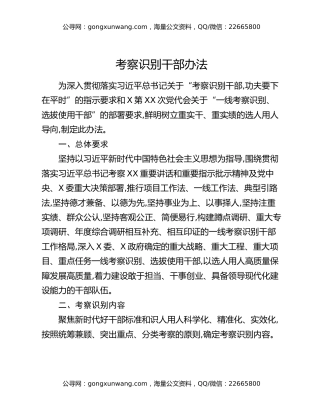 考察识别干部办法