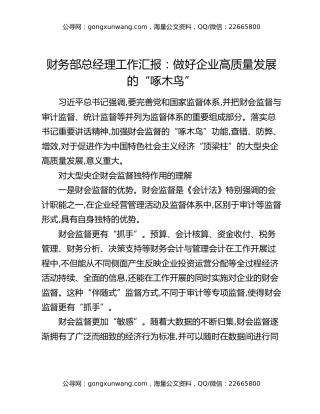 财务部总经理工作汇报：做好企业高质量发展的“啄木鸟”