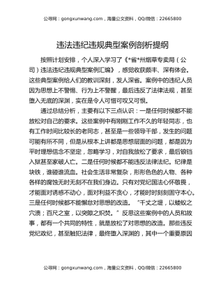 违法违纪违规典型案例剖析提纲