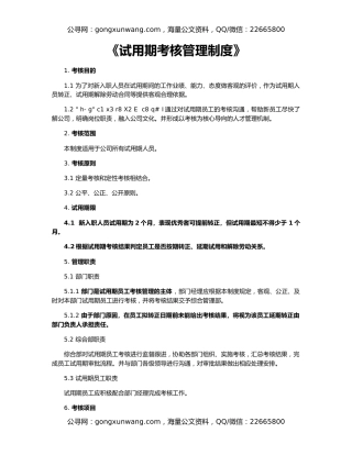 《试用期考核管理制度》（2）