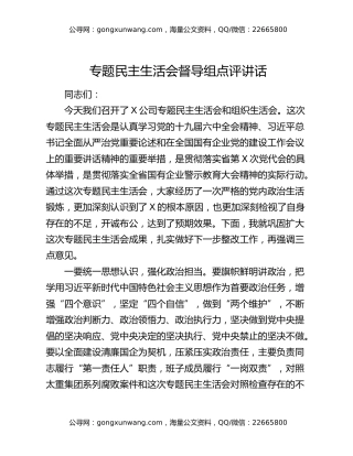 专题民主生活会督导组点评讲话