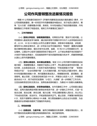 公司作风整顿整改进展情况报告