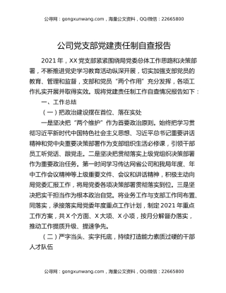 公司党支部党建责任制自查报告
