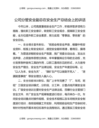 公司分管安全副总在安全生产总结会上的讲话