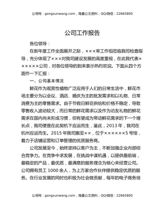 公司工作报告
