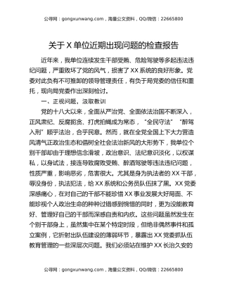 关于X单位近期出现问题的检查报告