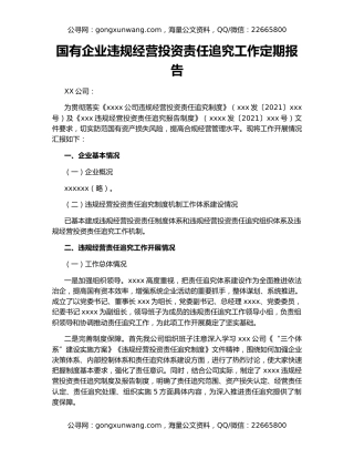 国有企业违规经营投资责任追究工作定期报告