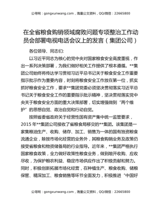 在全省粮食购销领域腐败问题专项整治工作动员会部署电视电话会议上的发言（集团公司）