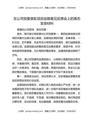 在公司党委首轮项目巡察意见反馈会上的表态发言材料