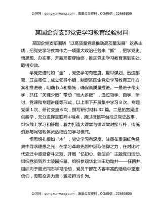 某国企党支部党史学习教育经验材料