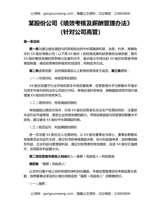 某股份公司《绩效考核及薪酬管理办法》（针对公司高管）（2）