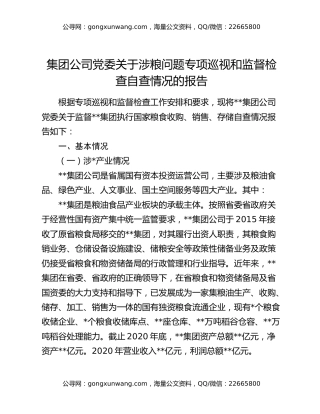 集团公司党委关于涉粮问题专项巡视和监督检查自查情况的报告