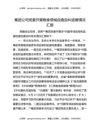 集团公司党委开展粮食领域自查自纠进展情况汇报