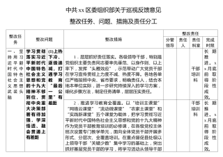 关于巡视反馈意见整改任务、问题、措施及责任分工(详表)