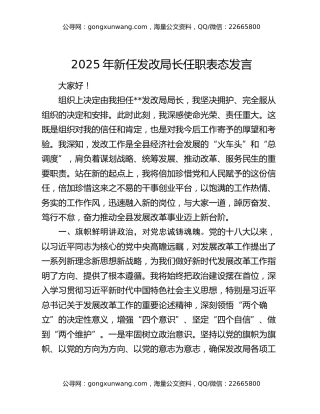 2025年新任发改局长任职表态发言