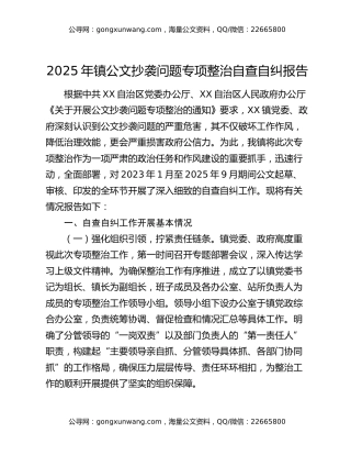 2025年镇公文抄袭问题专项整治自查自纠报告