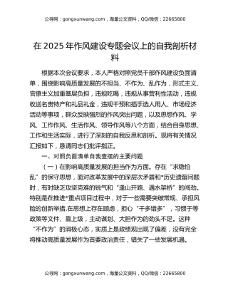 在2025年作风建设专题会议上的自我剖析材料