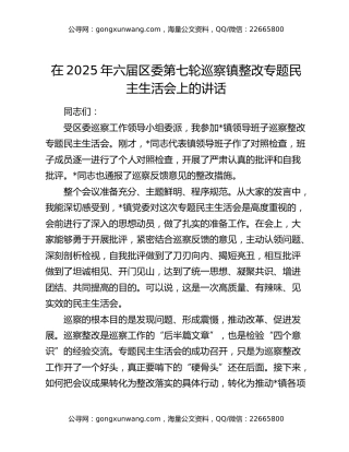 在2025年六届区委第七轮巡察镇整改专题民主生活会上的讲话
