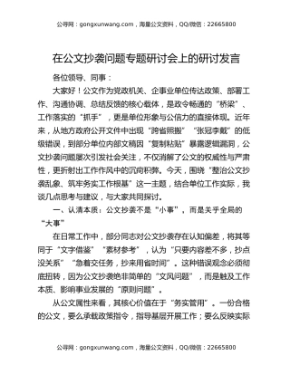 在公文抄袭问题专题研讨会上的研讨发言