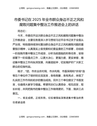 市委书记在2025年全市群众身边不正之风和腐败问题集中整治工作推进会上的讲话