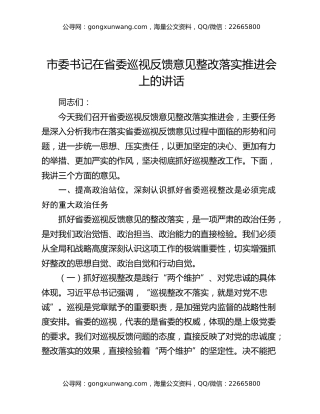 市委书记在省委巡视反馈意见整改落实推进会上的讲话