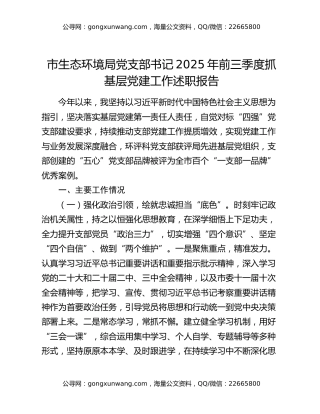 市生态环境局党支部书记2025年前三季度抓基层党建工作述职报告