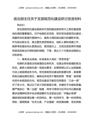 政治部主任关于支部规范化建设研讨发言材料