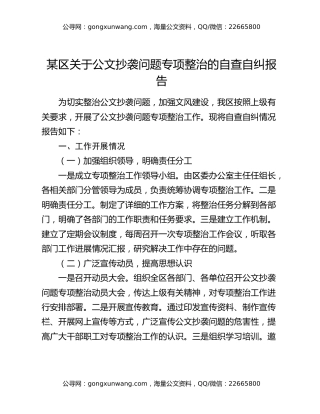 某区关于公文抄袭问题专项整治的自查自纠报告