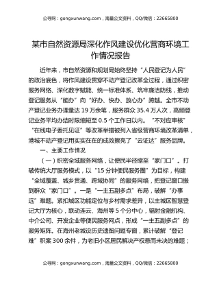 某市自然资源局深化作风建设优化营商环境工作情况报告