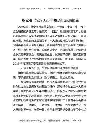 乡党委书记2025年度述职述廉报告