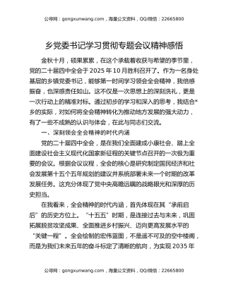 乡党委书记学习贯彻专题会议精神感悟