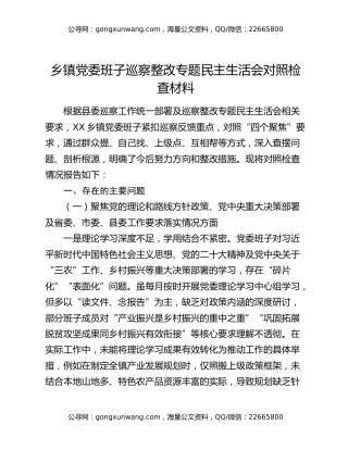 乡镇党委班子巡察整改专题民主生活会对照检查材料