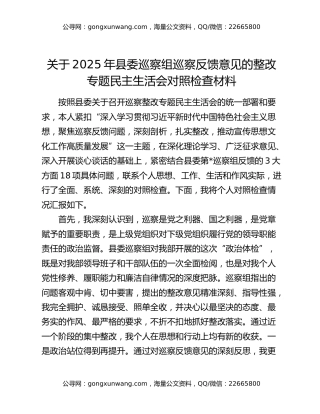 关于2025年县委巡察组巡察反馈意见的整改专题民主生活会对照检查材料