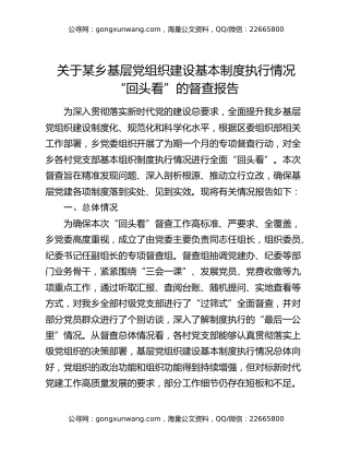 关于某乡基层党组织建设基本制度执行情况“回头看”的督查报告
