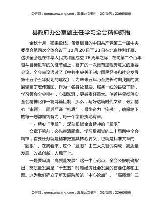 县政府办公室副主任学习全会精神感悟