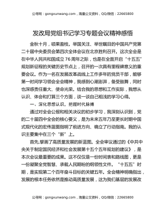 发改局党组书记学习专题会议精神感悟