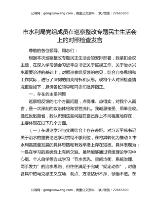 市水利局党组成员在巡察整改专题民主生活会上的对照检查发言
