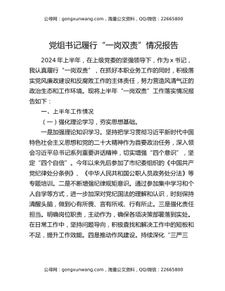 党组书记履行“一岗双责”情况报告