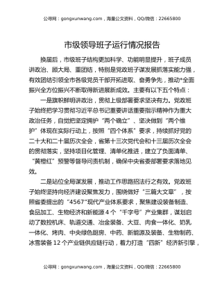 市级班子运行情况报告